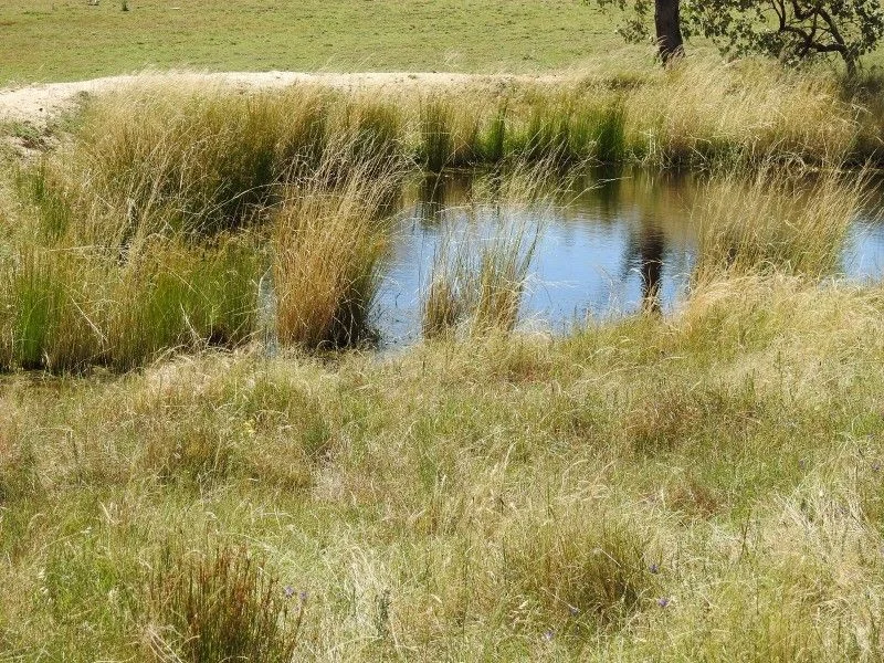 Additional image 12 of 273 Horton Drive, Woodstock NSW 2793