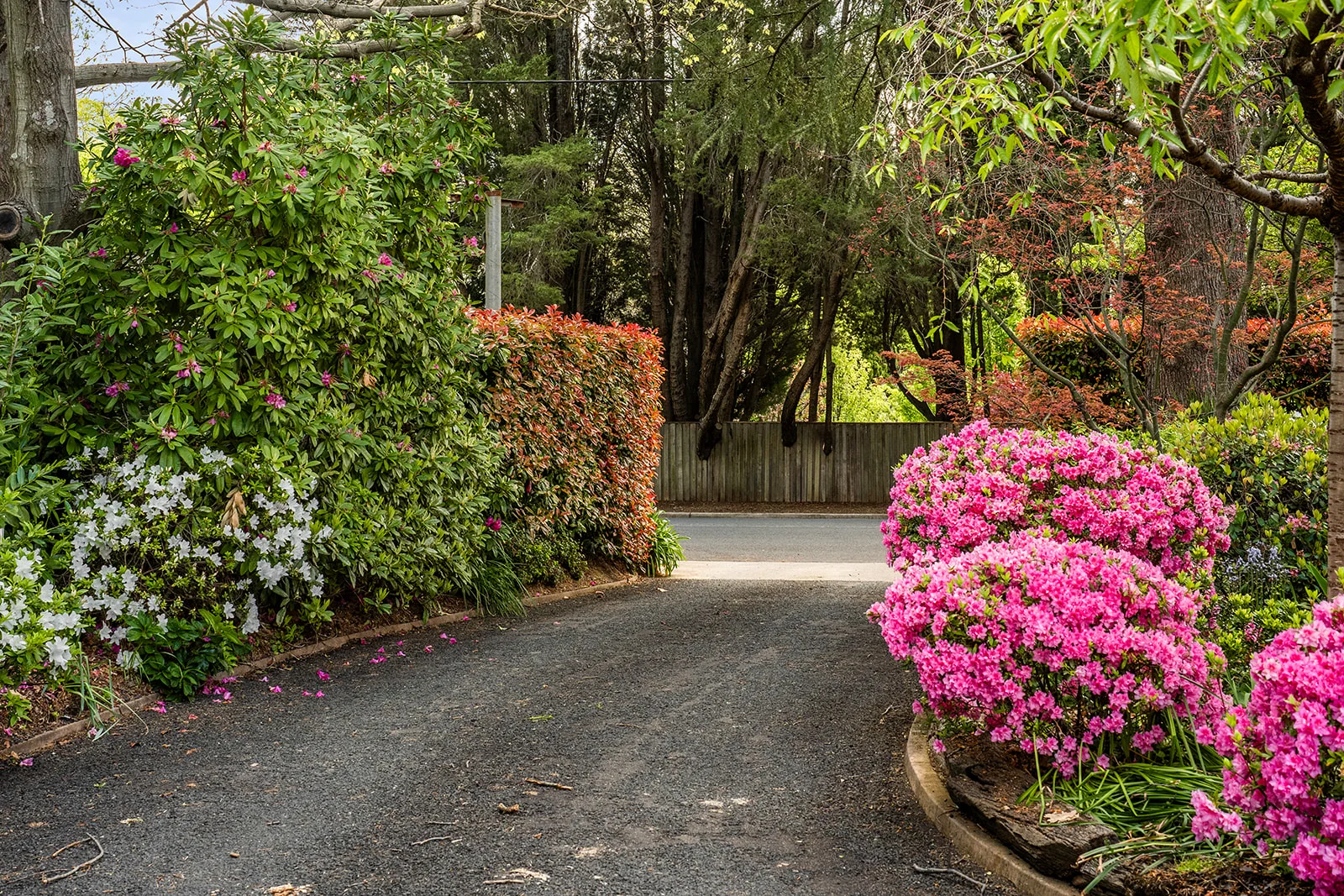 Additional image 15 of 8/78 Bendooley Street, Bowral NSW 2576