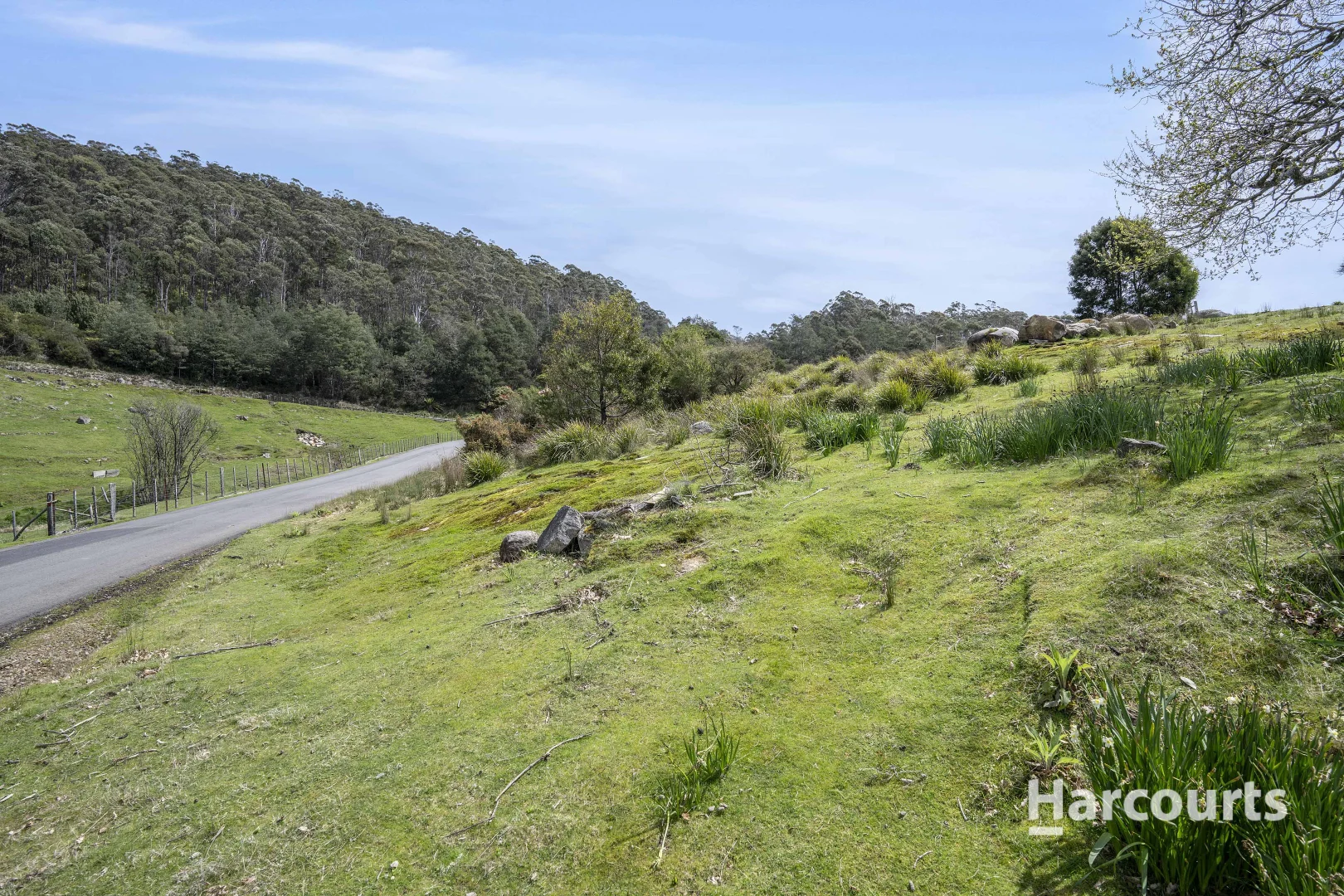Additional image 12 of Lot 1 Krushka Street, Derby TAS 7264