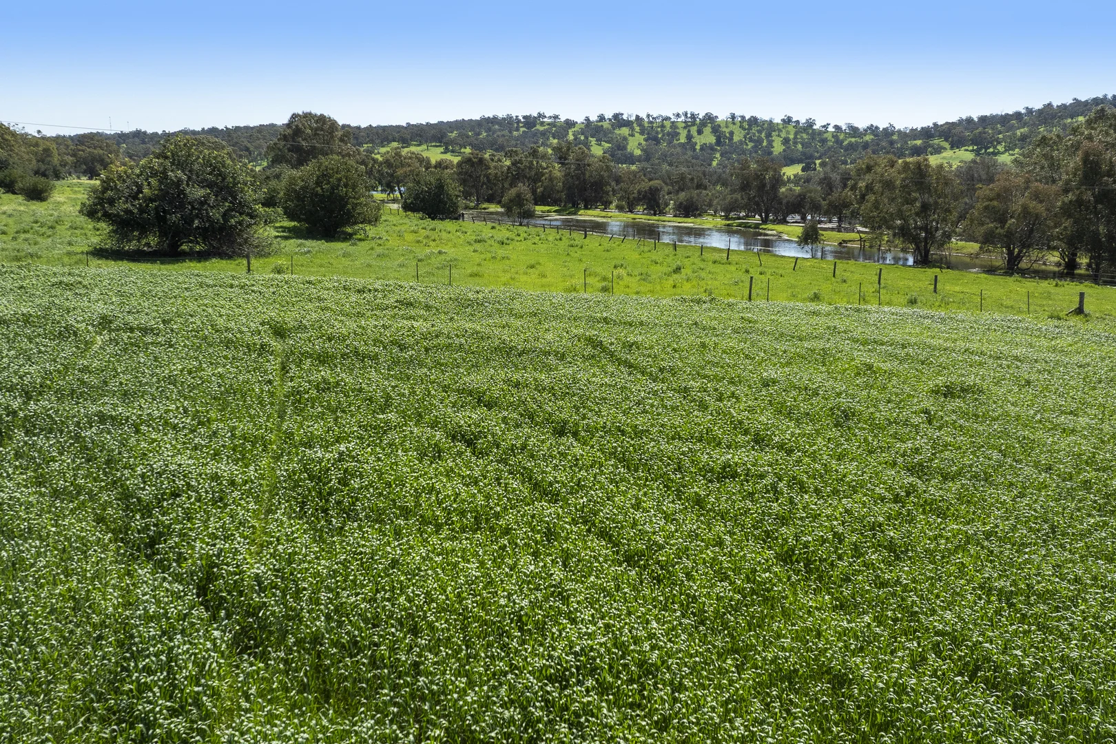 Additional image 22 of 54 Chittering Valley Road, Lower Chittering WA 6084