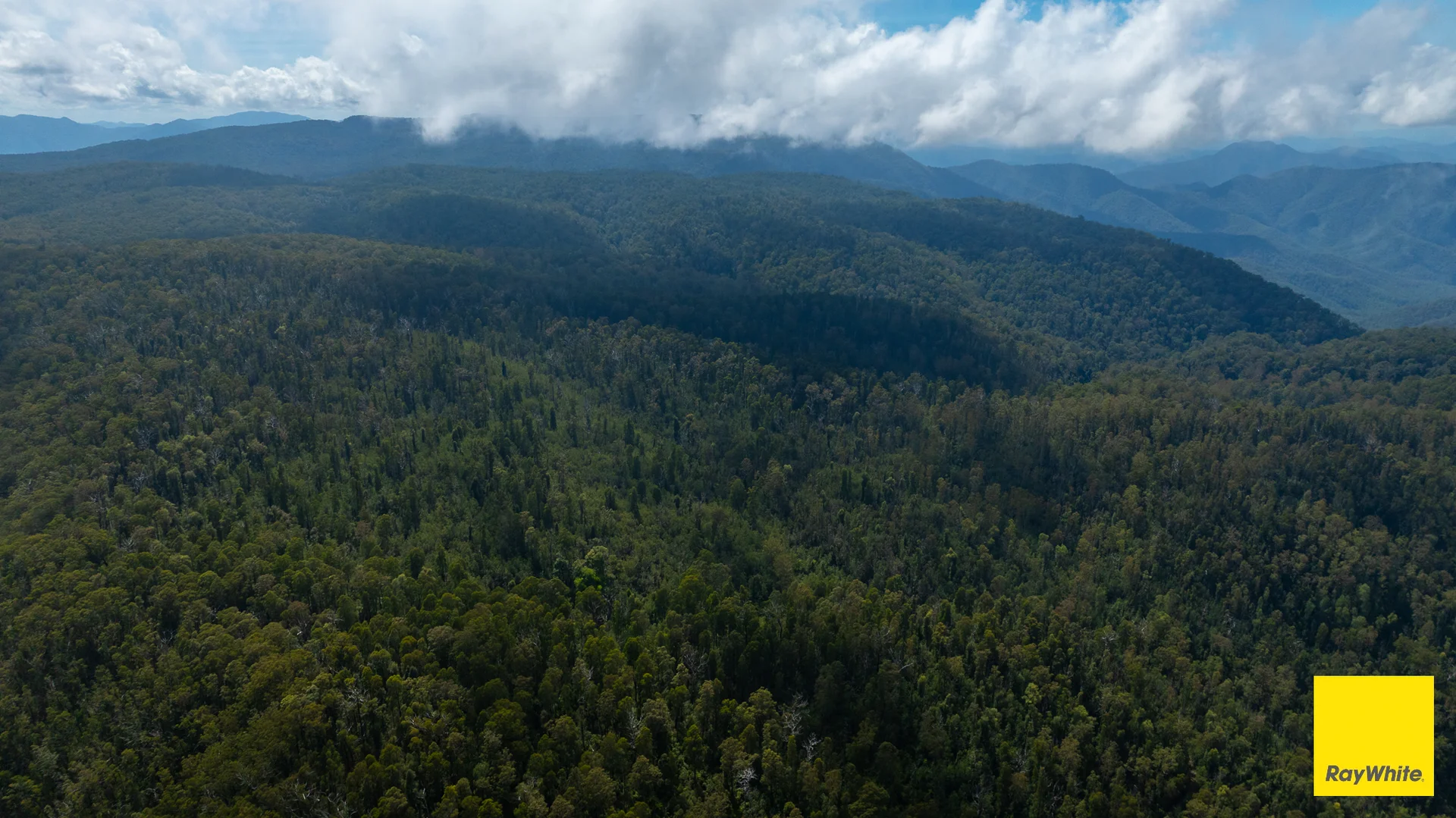 Additional image 11 of Lower Creek NSW 2440