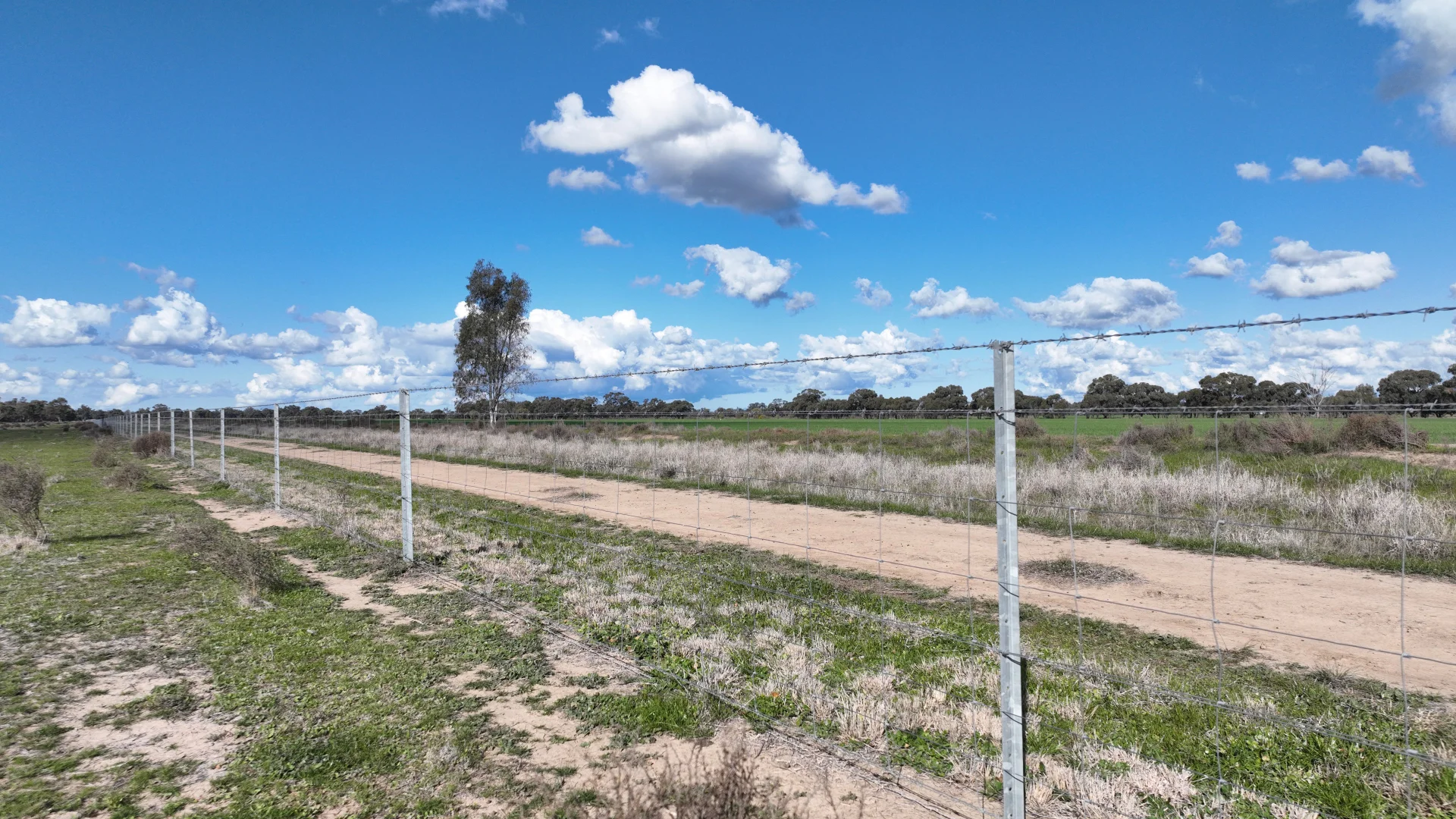 Additional image 23 of Calimo Park Brassi Road, Deniliquin NSW 2710