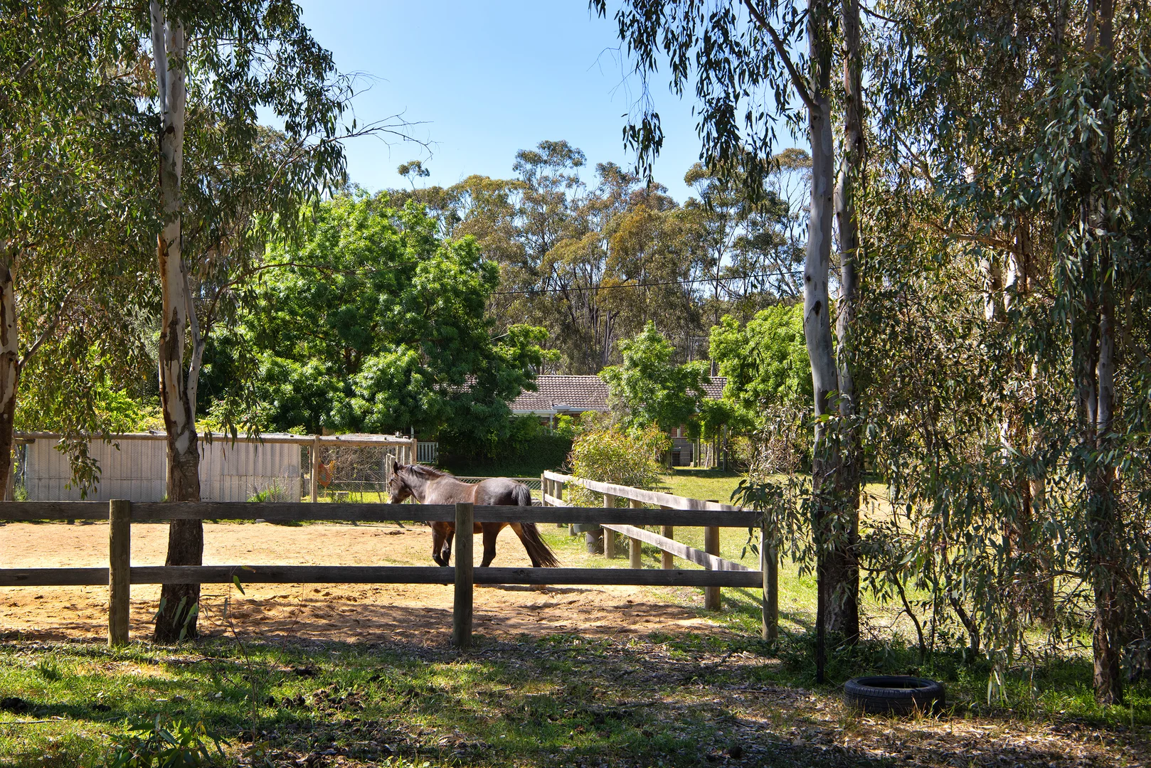 Additional image 15 of 85 Odgers Road, Barkers Creek VIC 3451