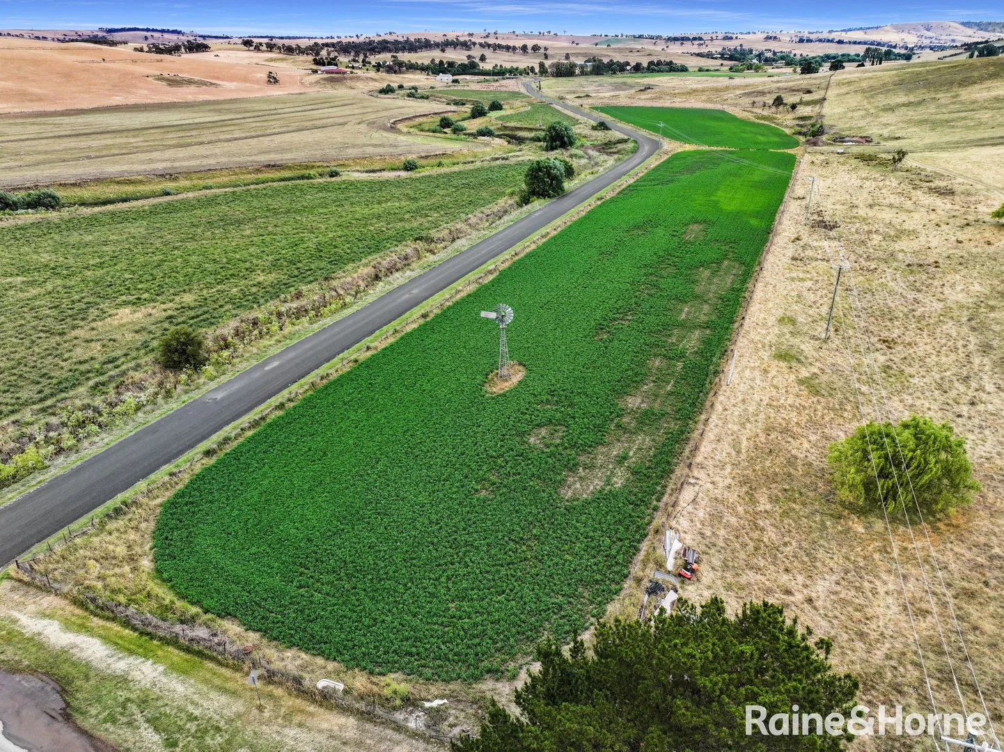 Additional image 25 of 479 Gestingthorpe Road, Cow Flat NSW 2795