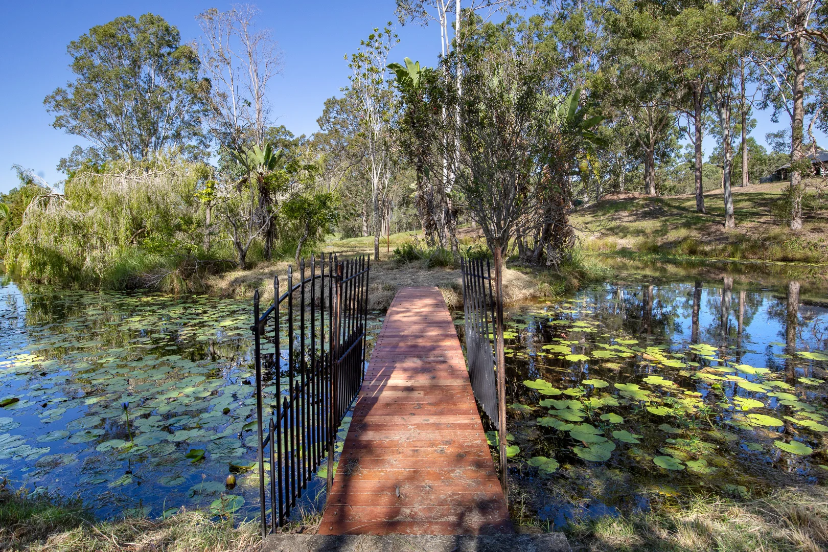 Additional image 52 of 102 Fern Hill Drive, Willow Vale QLD 4209