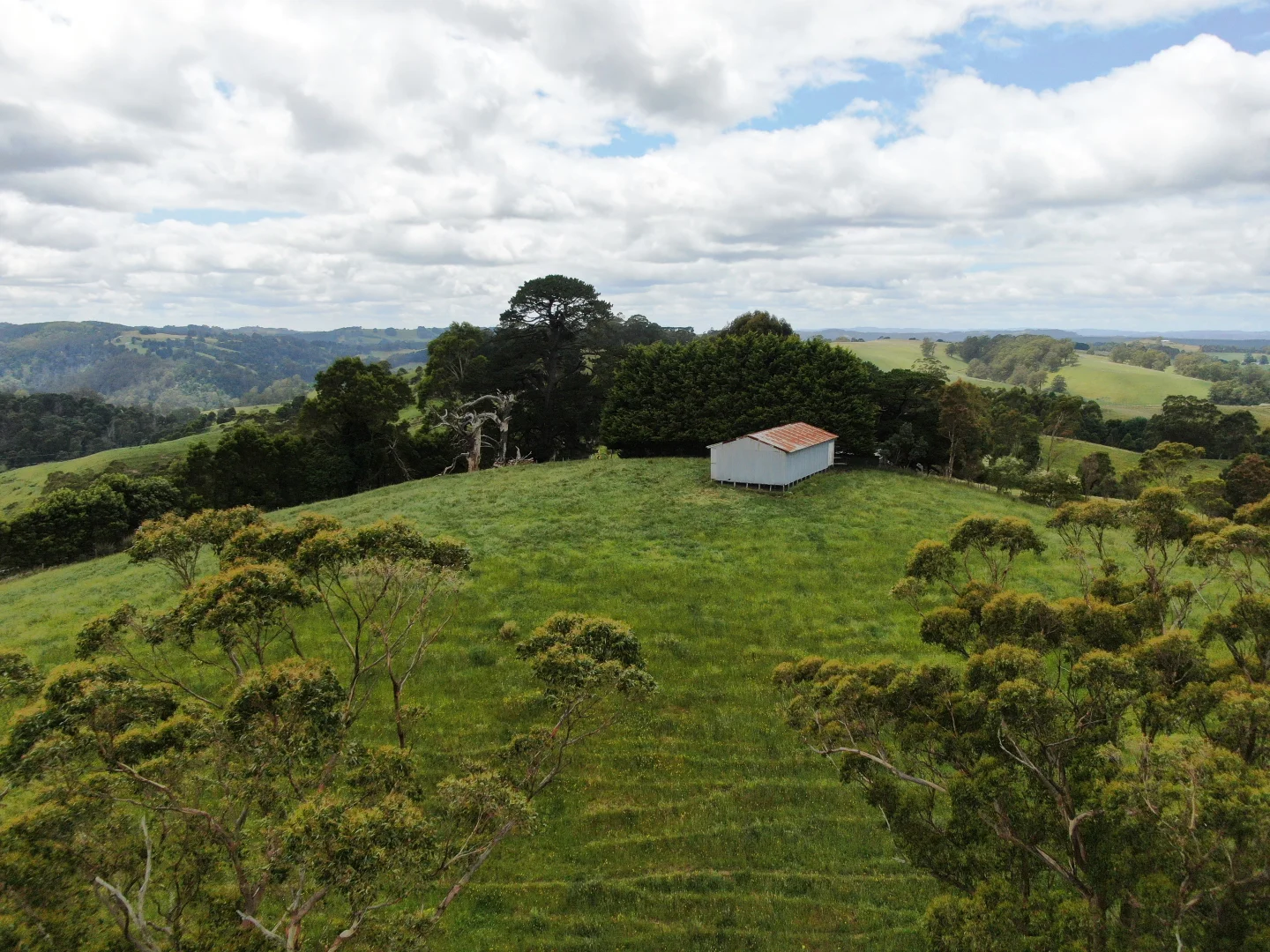 Additional image 9 of 10 Rowes Road, Mount Eccles VIC 3953