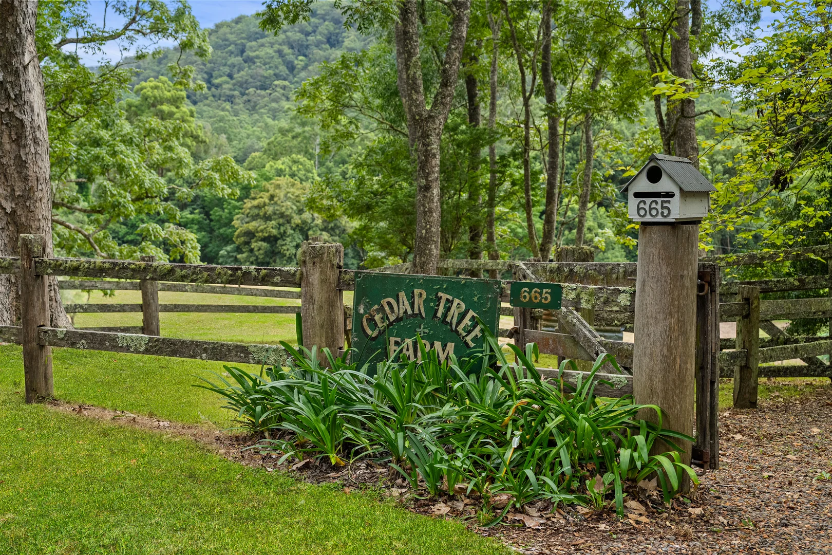 Additional image 27 of 665 Brush Creek Road, Cedar Brush Creek NSW 2259