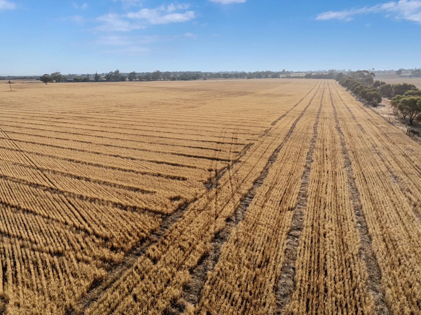 Additional image 22 of 'Leske Farm' Thiele Highway, Freeling SA 5372