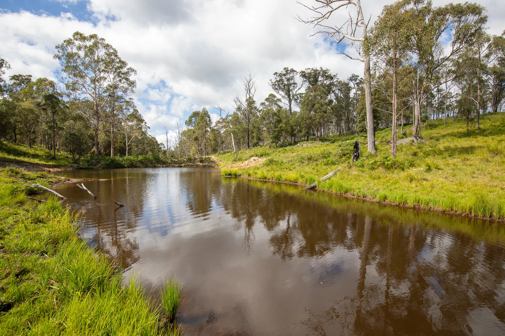 Additional image 18 of "Glen Bluff" 222 Riverview Road, Wards Mistake NSW 2350
