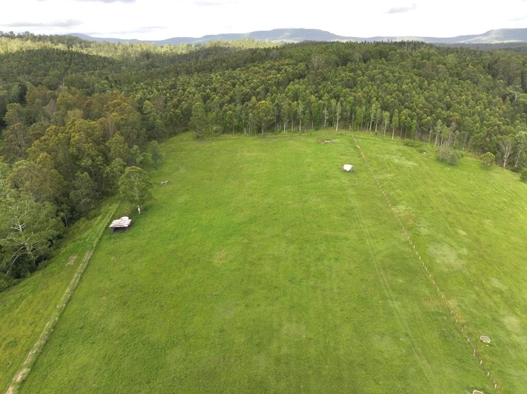 Additional image 29 of 1023 Iron Pot Creek Rd, Kyogle NSW 2474