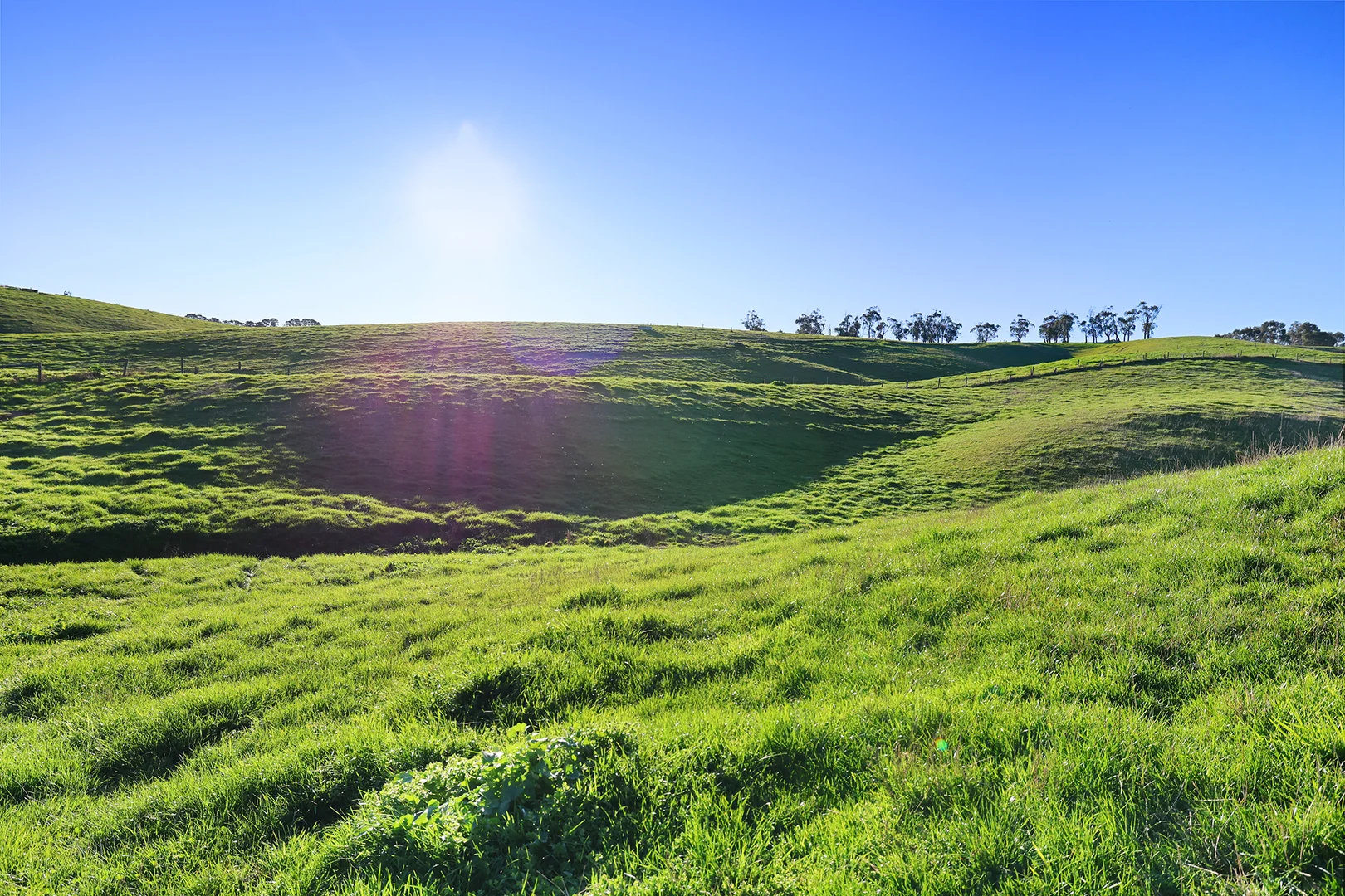 Additional image 26 of 70 Invermay Road West, Ripplebrook VIC 3818