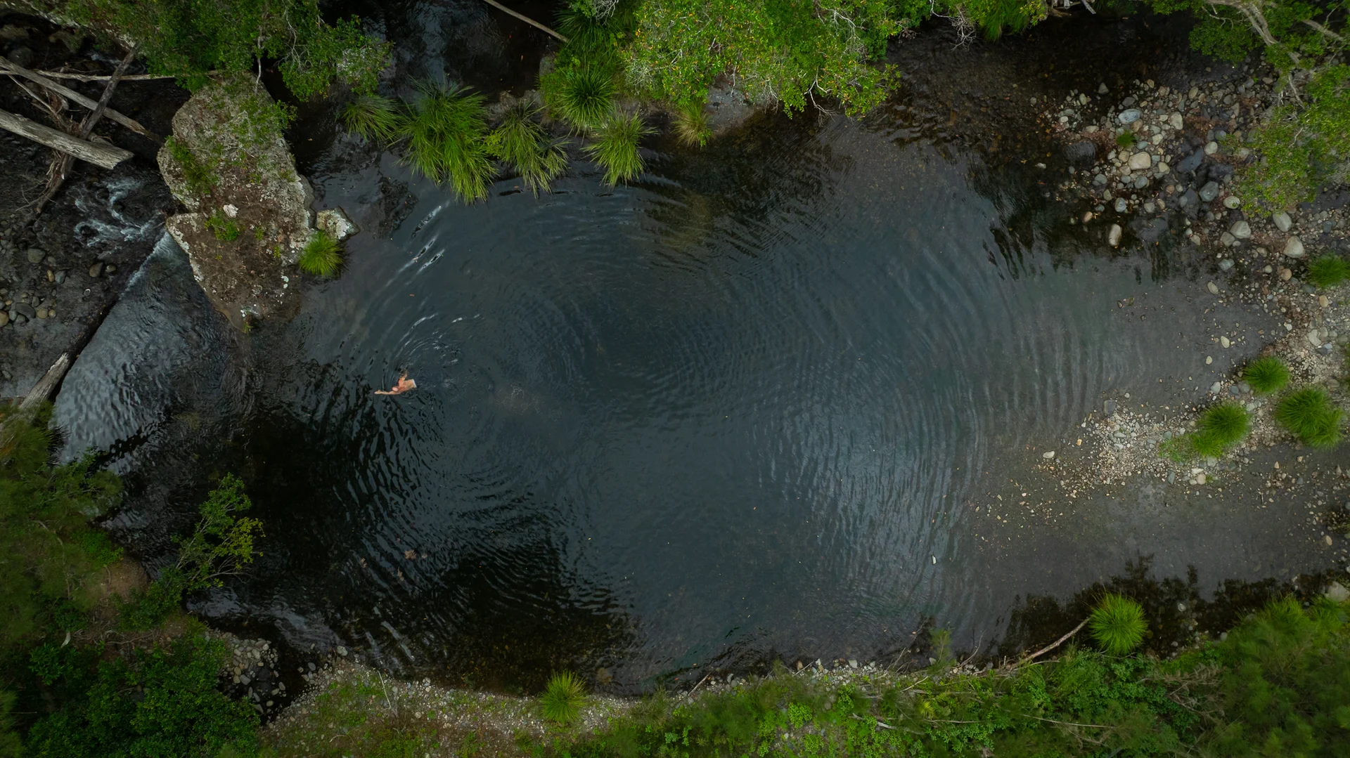 Additional image 4 of 2956 Carnham Road, Coombadjha NSW 2460