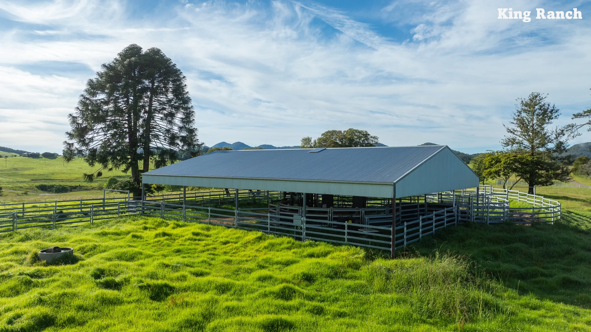 Additional image 3 of "King Ranch" 481 Upper Bobo Road, Dorrigo NSW 2453