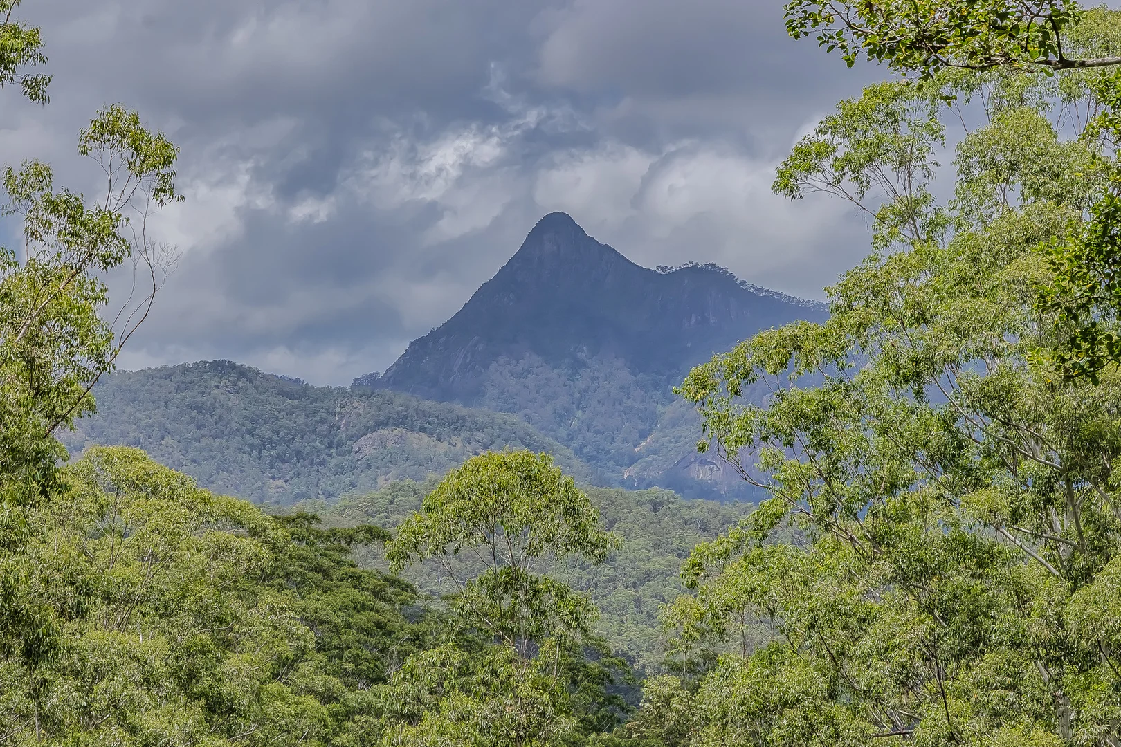 Additional image 11 of 270 Zara Road, Zara NSW 2484