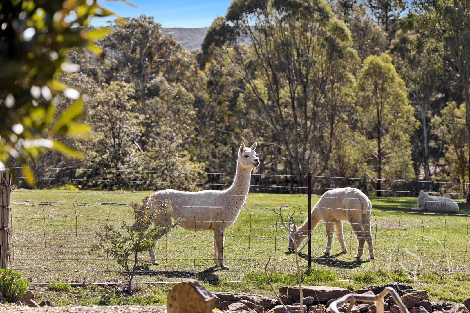 Additional image 24 of 120 Ayreshire Drive, Shepherds Flat VIC 3461