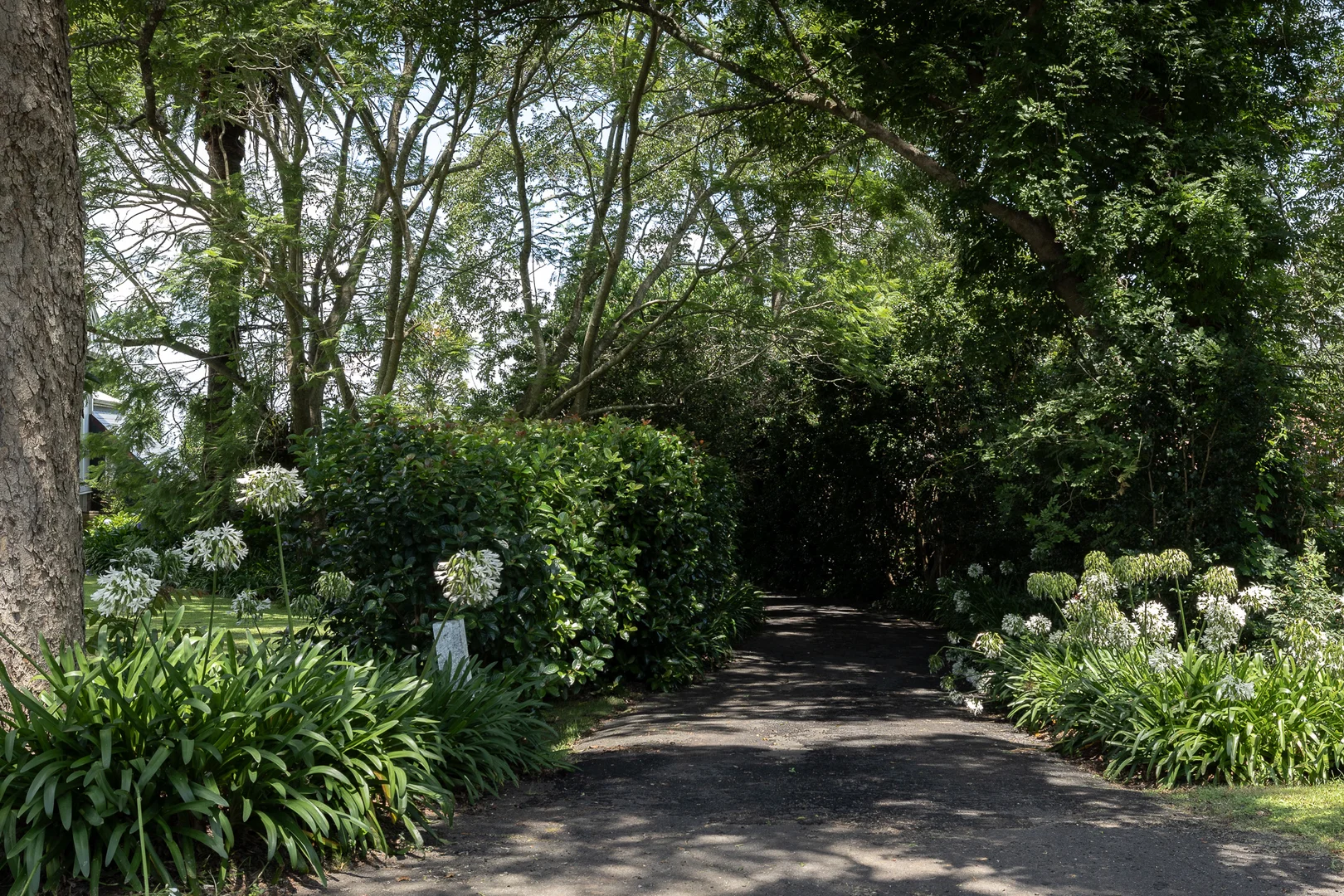 Additional image 2 of 36 East Street, Redwood QLD 4350