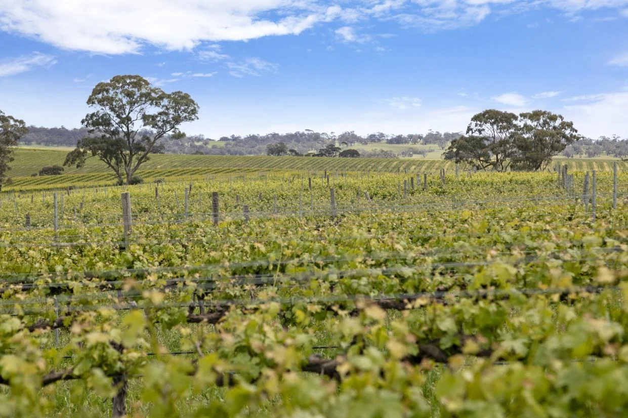 Additional image 5 of Lot 54 Tank Road, Auburn SA 5451