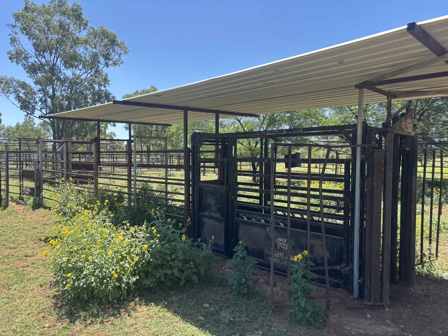 Additional image 3 of Lot 12 Capricorn Highway, Jericho QLD 4728