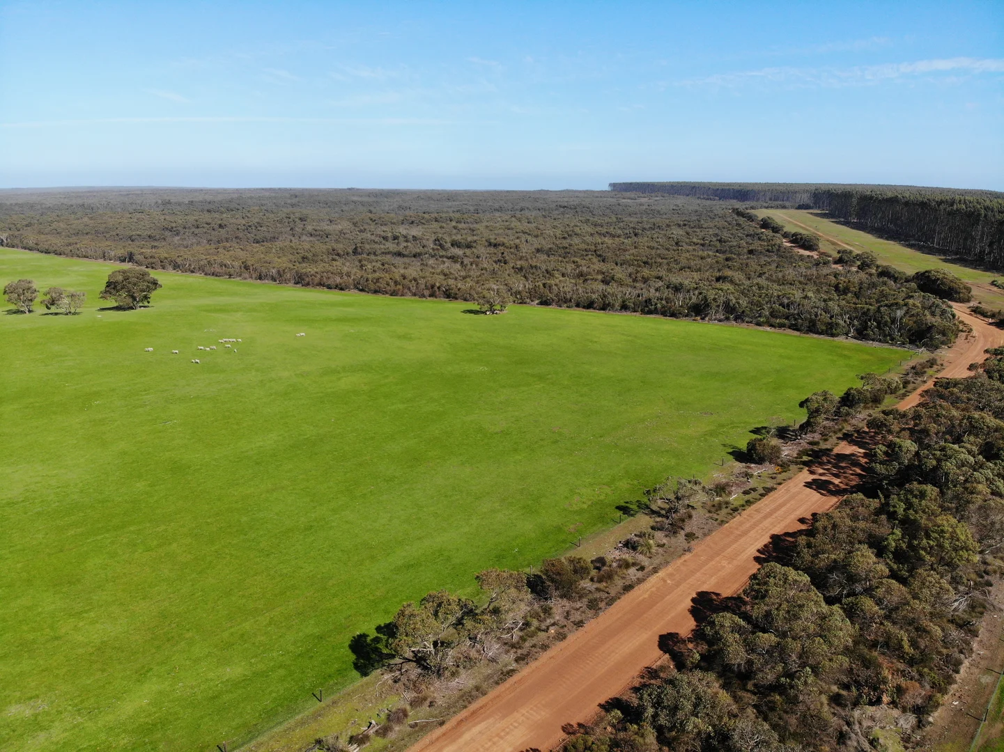 Additional image 5 of 105 Colmans Road, Western River SA 5223