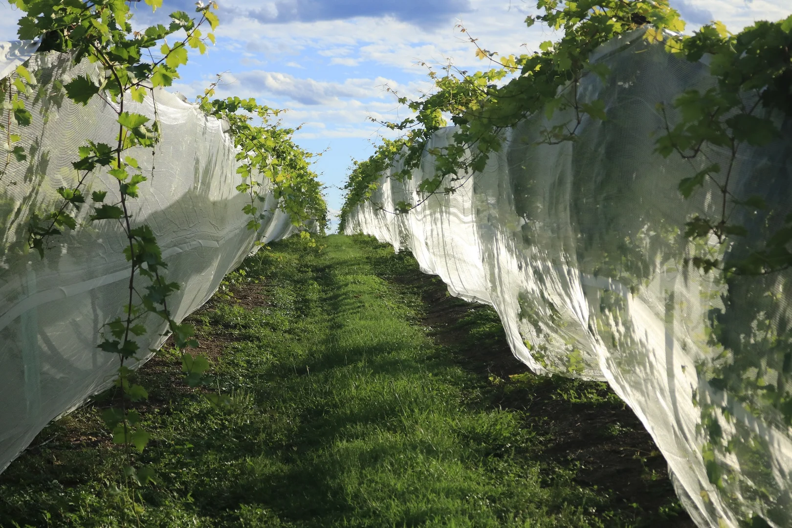 Additional image 4 of 700 Coonambula Road,, Riverleigh QLD 4626