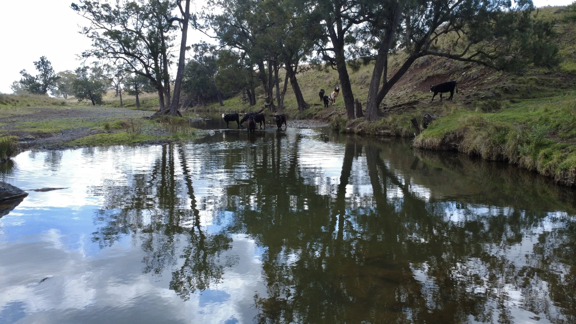 Additional image 12 of 955 "Wirringulla" Coulsons Creek Road, Merriwa NSW 2329