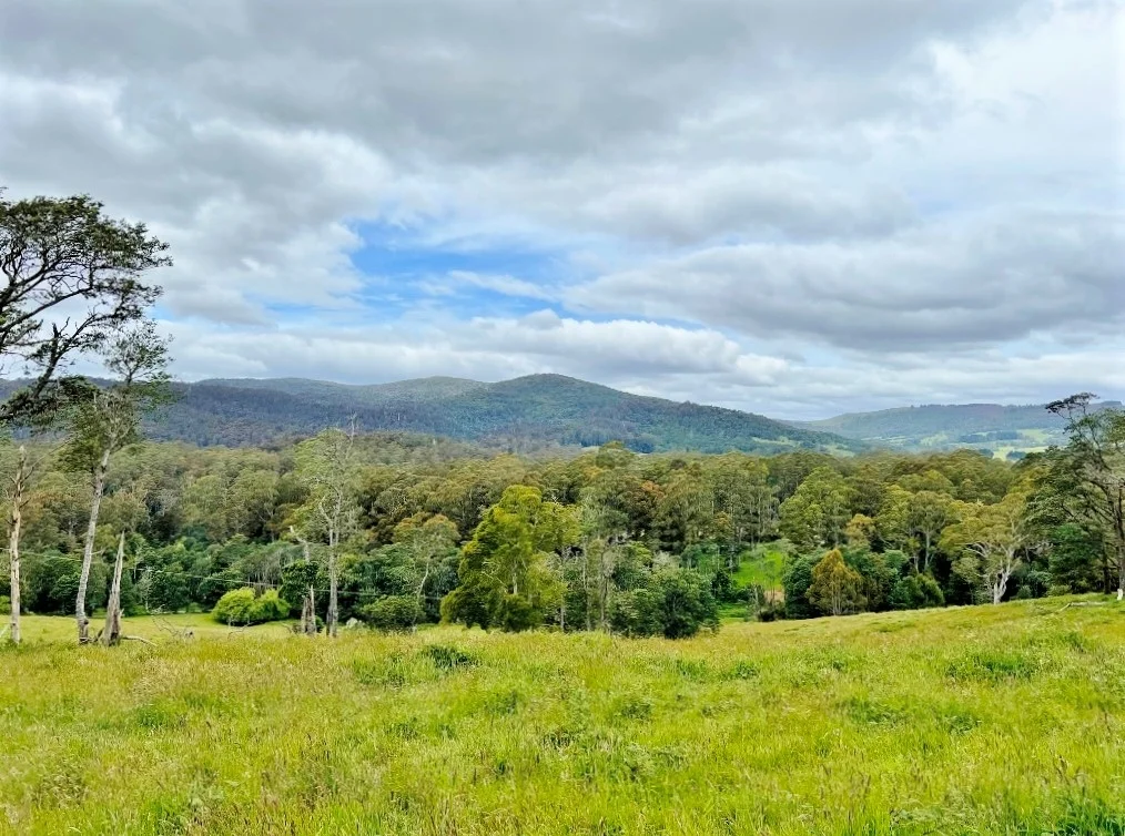 Additional image 8 of Lot 2/Part of 116680 Tasman Highway, Weldborough TAS 7264