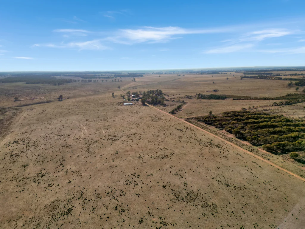 Additional image 3 of 603 Charcoal Tank Road, West Wyalong NSW 2671
