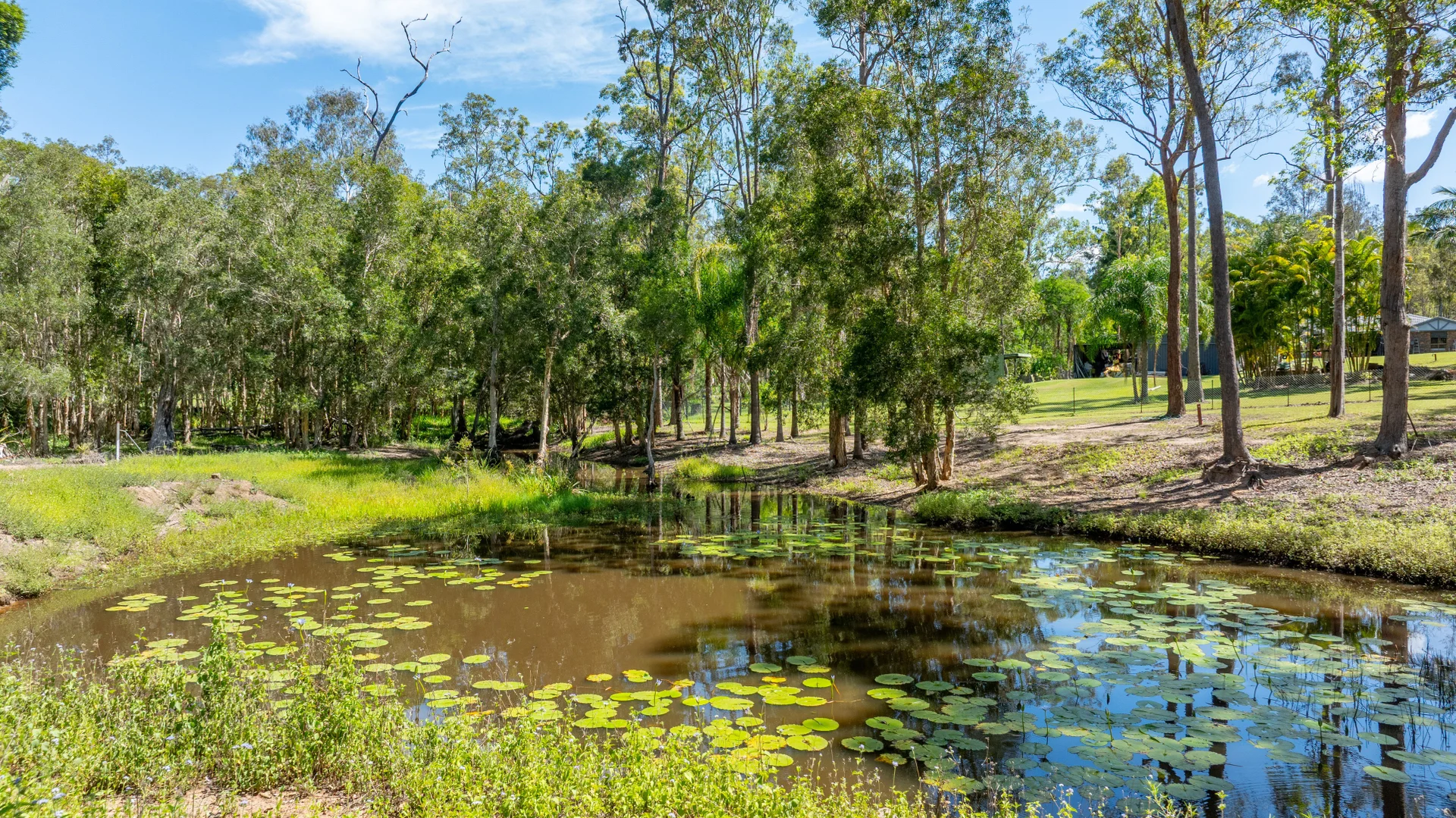Additional image 17 of 285 Arborten Road, Glenwood QLD 4570