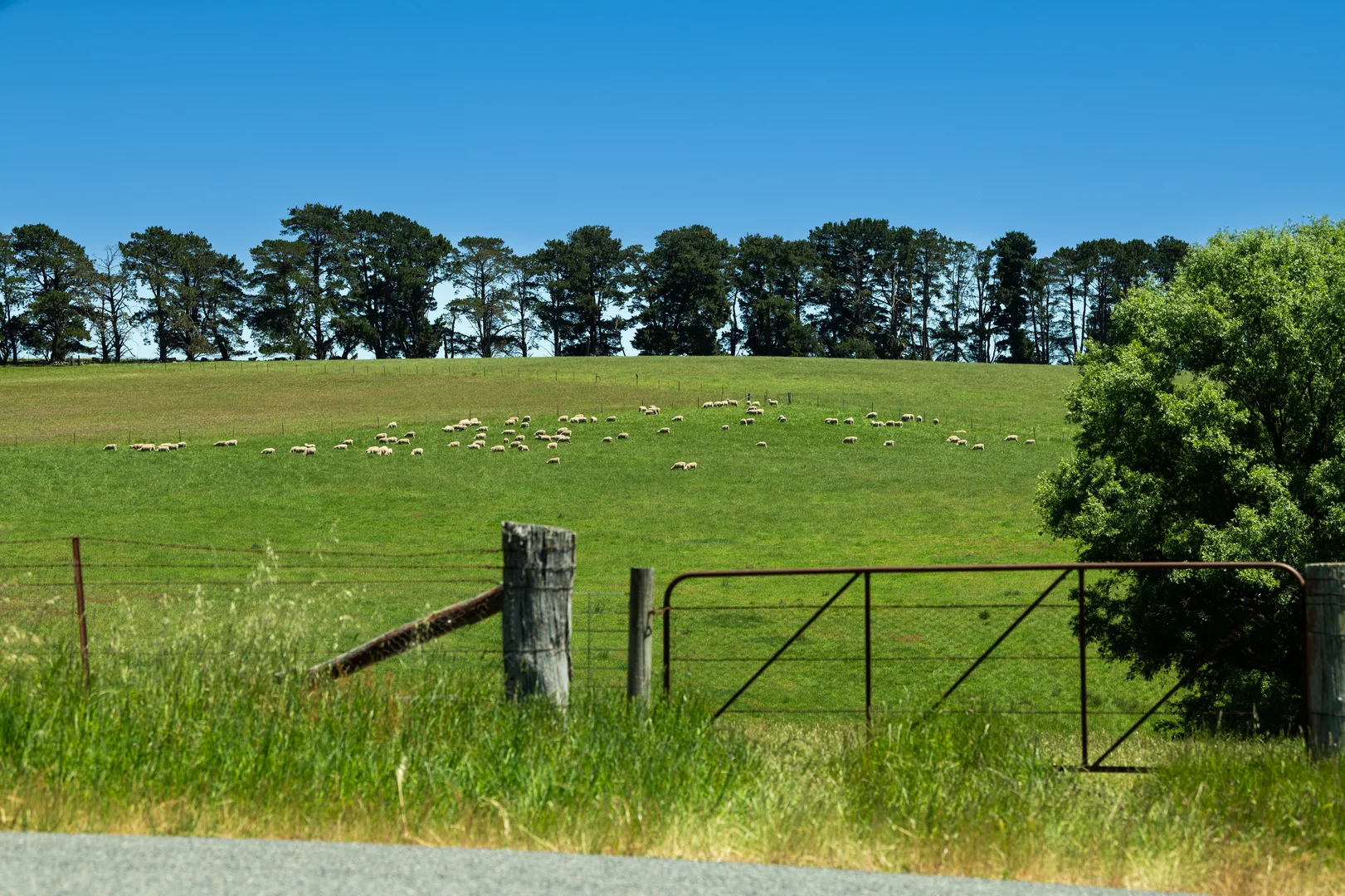 Additional image 10 of 21 Bolong Road, Golspie NSW 2580