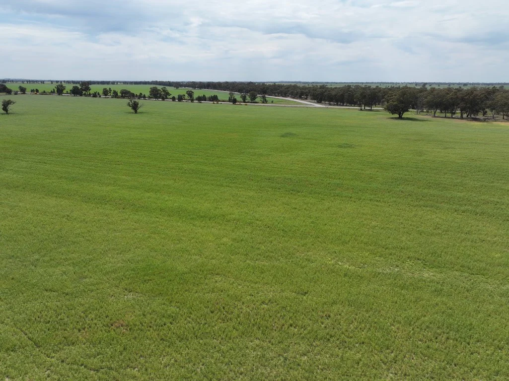 Additional image 5 of 849 Brushwood North Rd, Coolamon NSW 2701