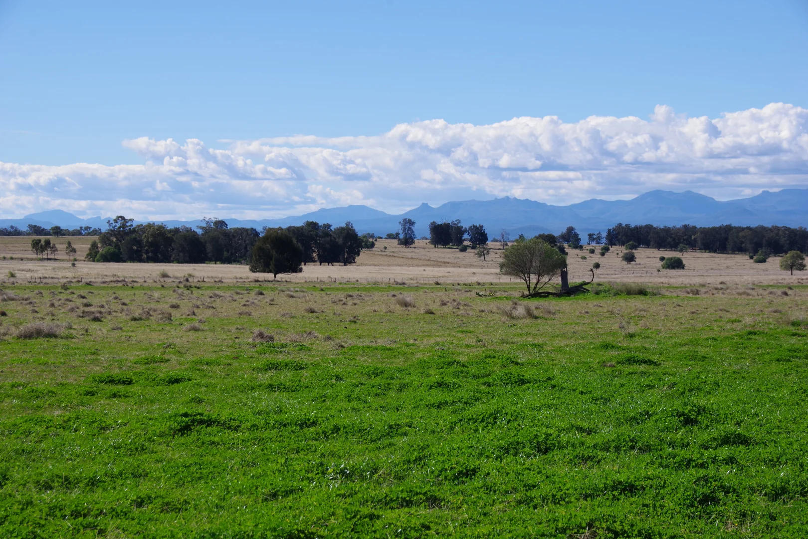 Additional image 27 of 635 Mayfield Road, Narrabri NSW 2390