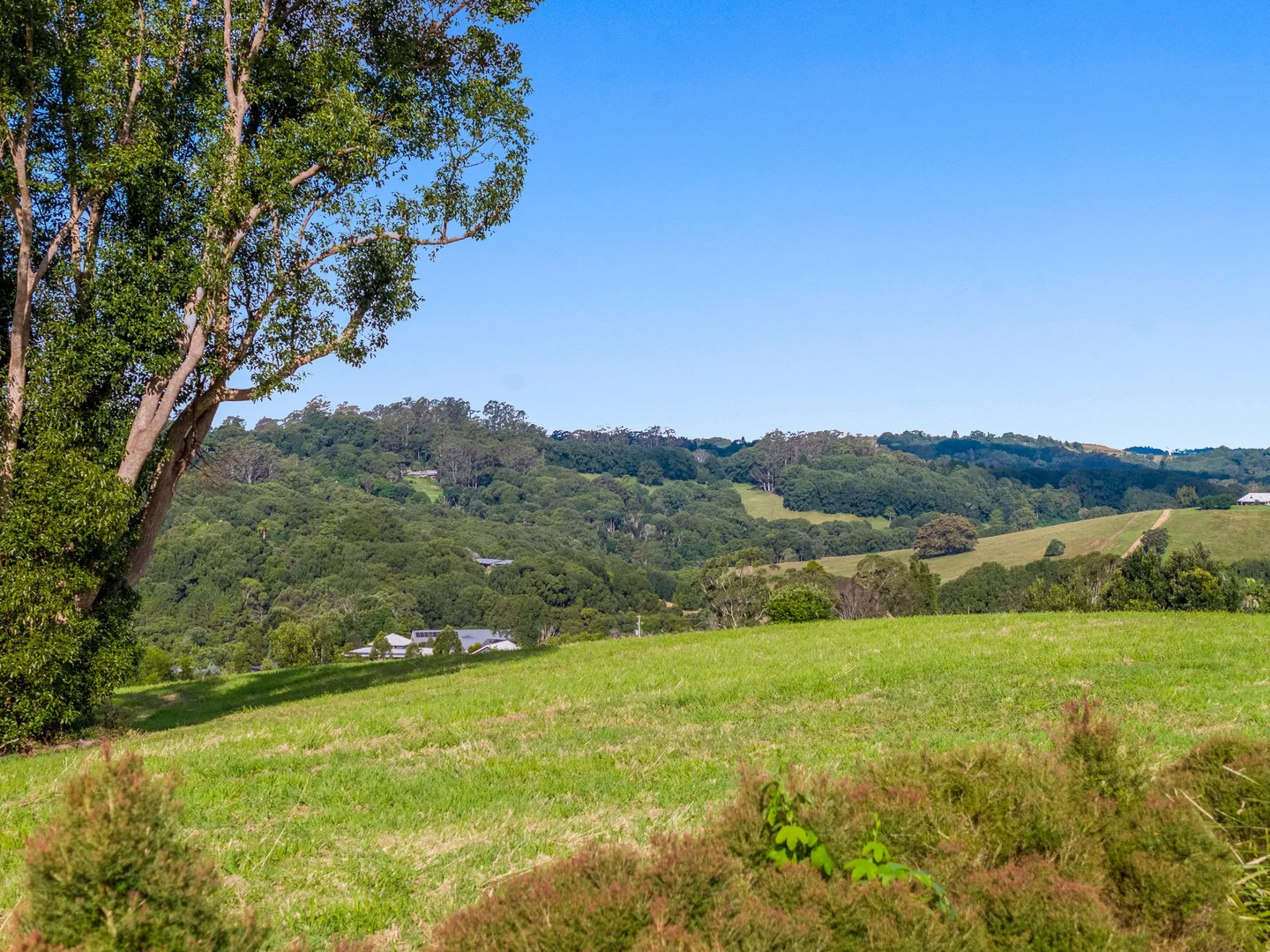 Additional image 11 of 22 Loch Lane, Coorabell NSW 2479