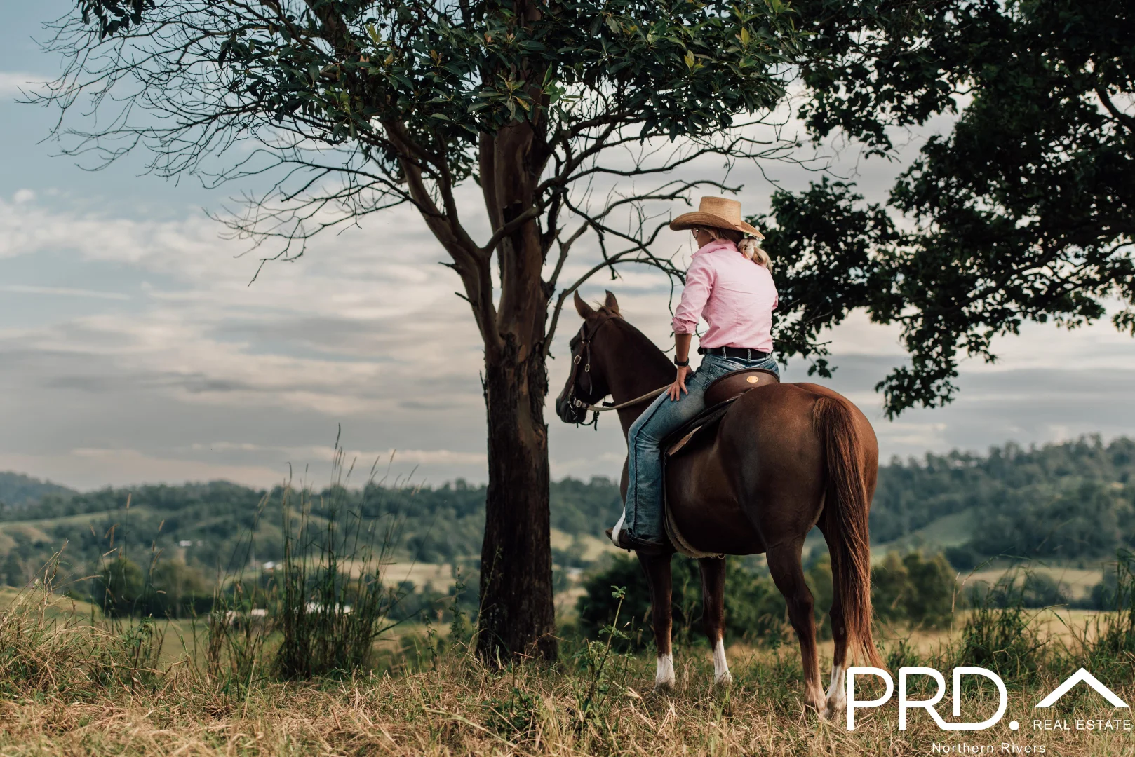 Additional image 2 of Lot 30, 46 Lynches Creek Road, Wiangaree NSW 2474