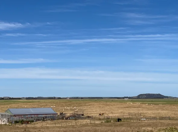 Additional image 8 of 687 Mount Salt Road, Mount Schank SA 5291