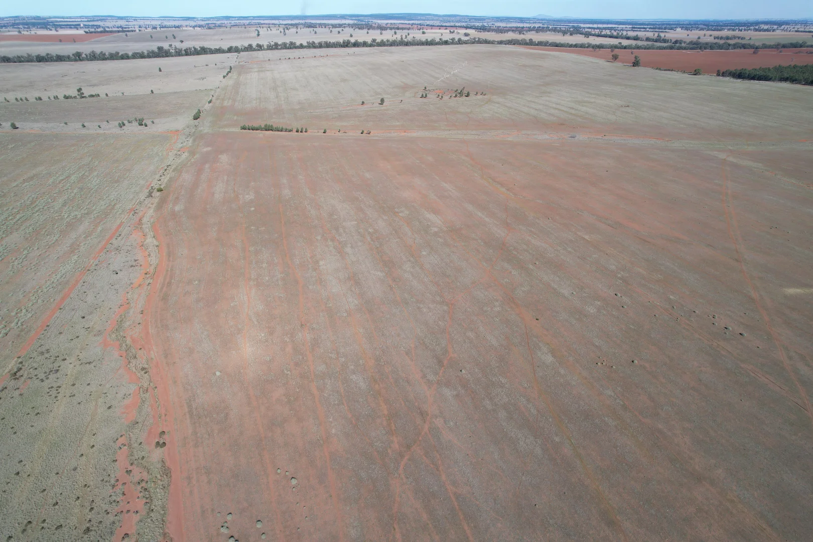 Additional image 5 of 1826 Tallimba Road, West Wyalong NSW 2671