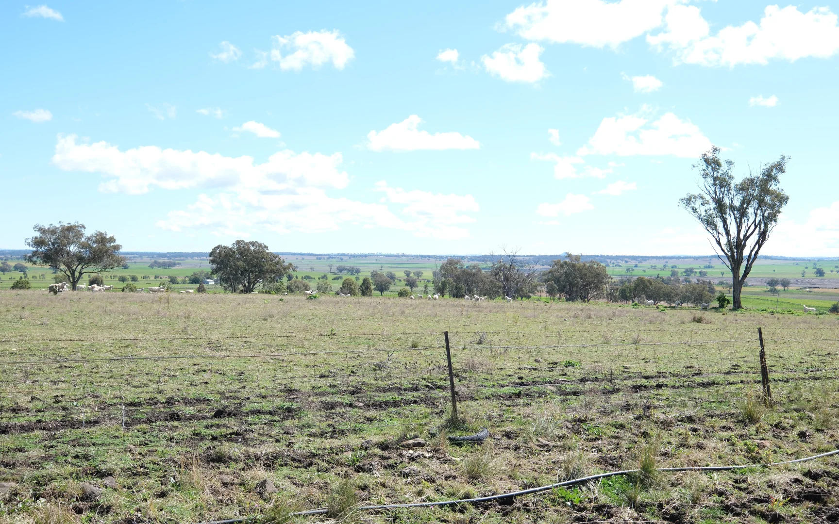 Additional image 6 of 154 Delungra Bypass Road, Inverell NSW 2360