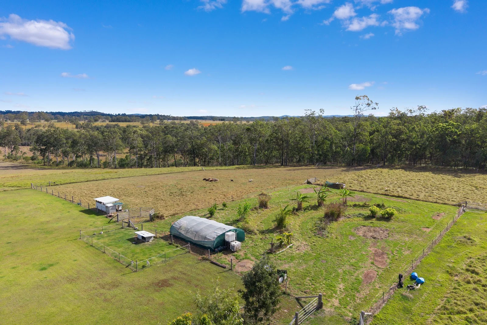 Additional image 6 of 539 Old Gayndah Road, Dunmora QLD 4650