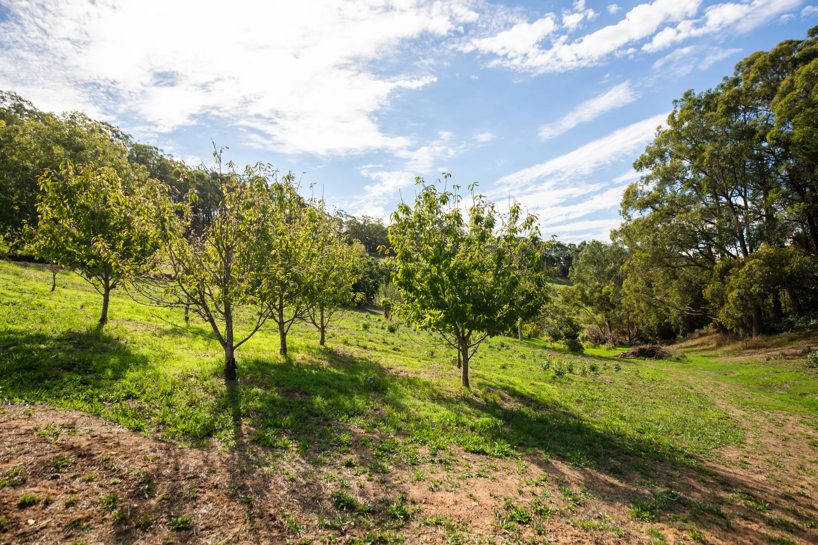 Additional image 19 of 290 Woods Hill Road, Ashton SA 5137