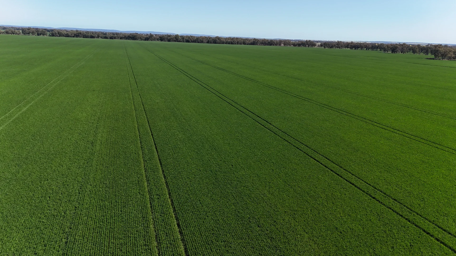 Additional image 15 of 349 Warregal Road, Parkes NSW 2870