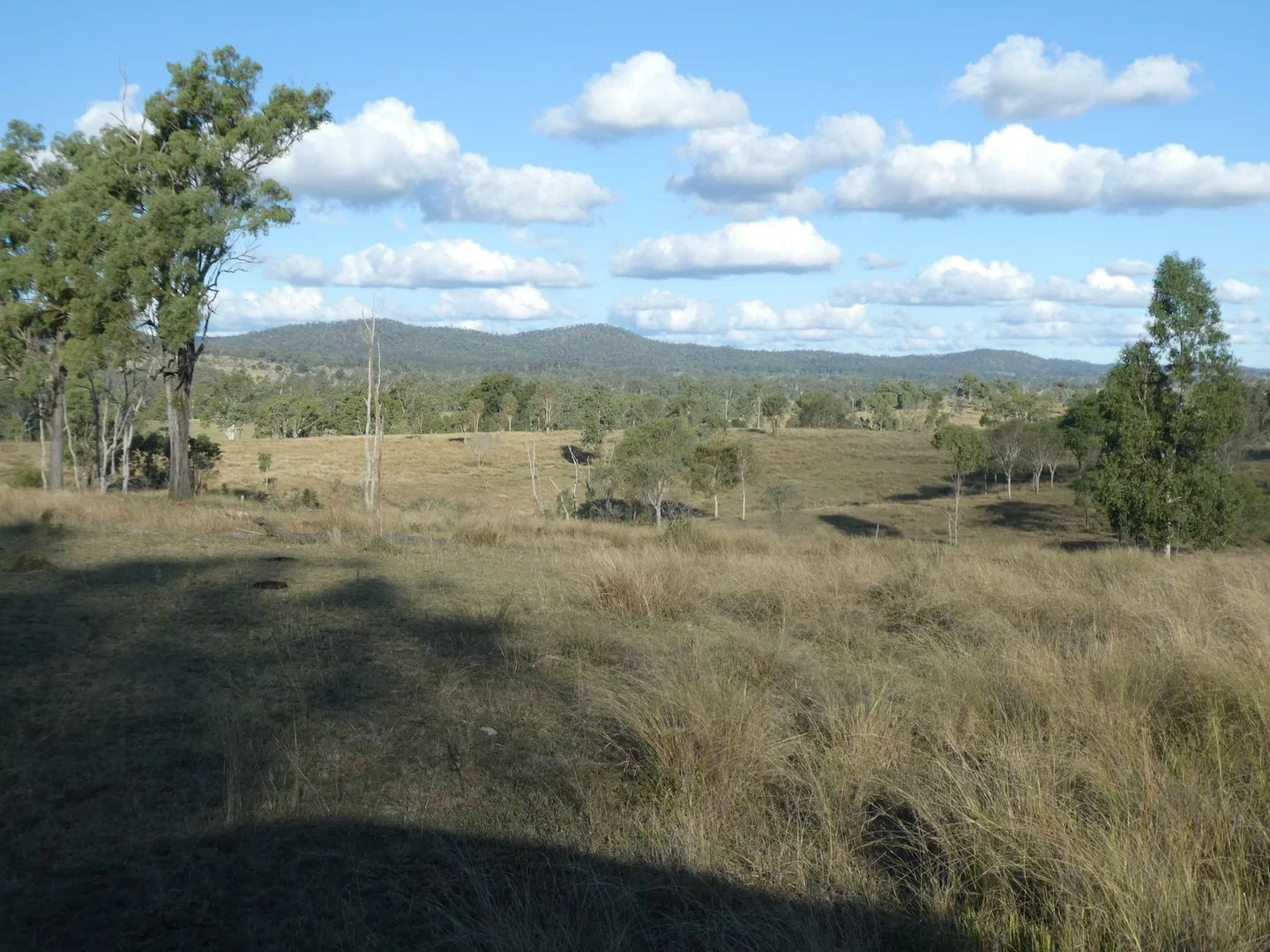 Additional image 26 of Lot 24 Gayndah Mount Perry Road, Mount Steadman QLD 4625
