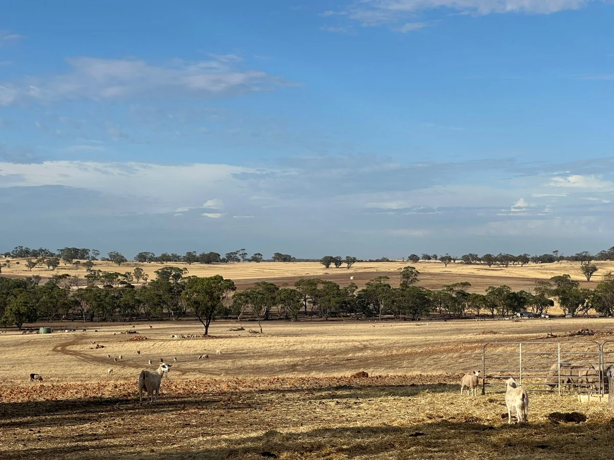 Additional image 4 of 2130 Long Forrest Road, Mumberkine WA 6401