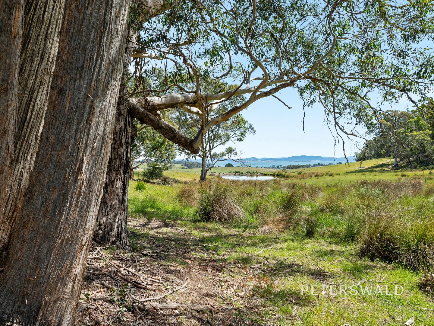 Additional image 38 of 109 Jones Road, Premaydena TAS 7185