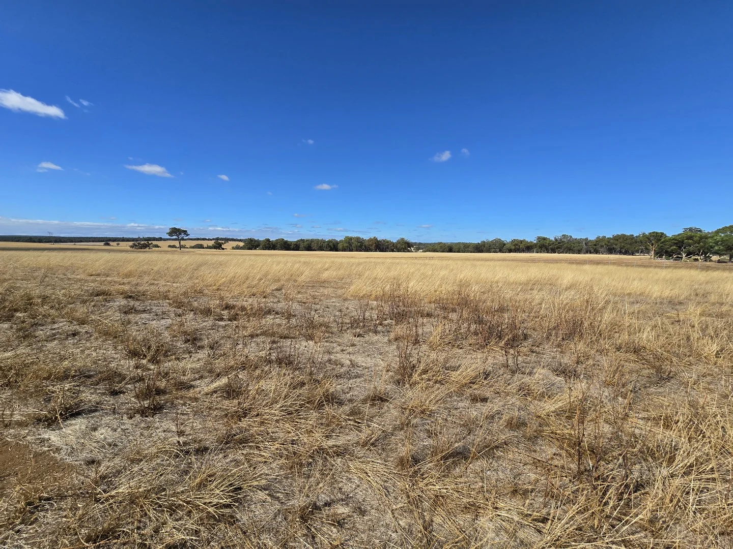 Lot 69/36 Shepherd Road, Frankland River WA 6396