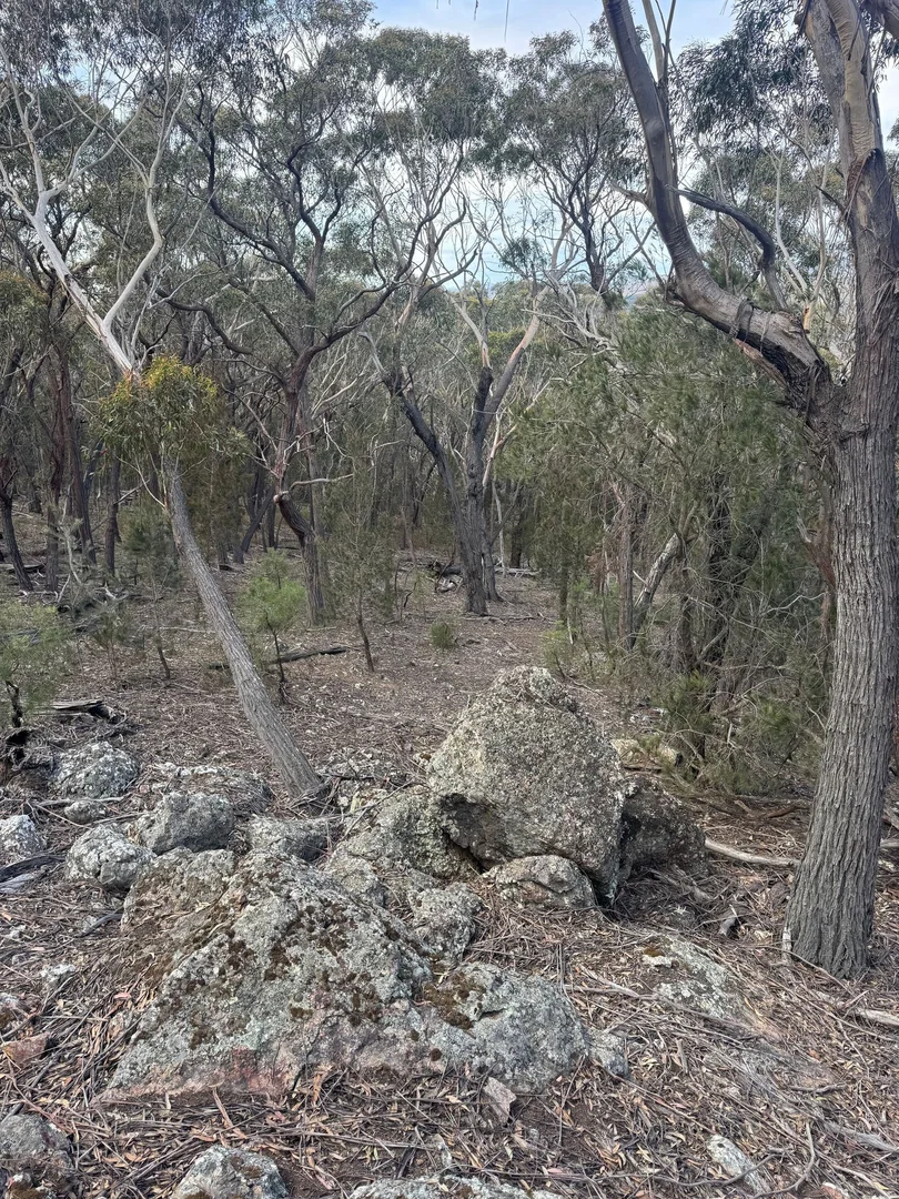 Additional image 13 of 274 Willow Glen Road, Lower Boro NSW 2580