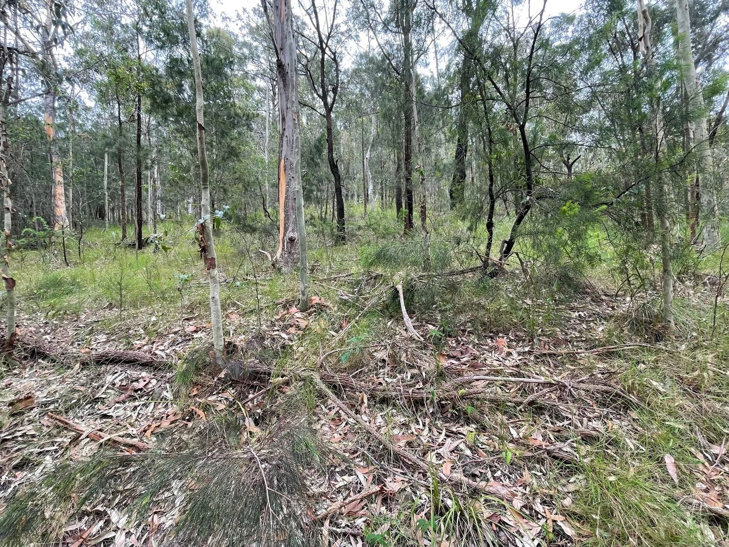 Additional image 3 of Lot 761 Tenterfield Road, North Arm Cove NSW 2324