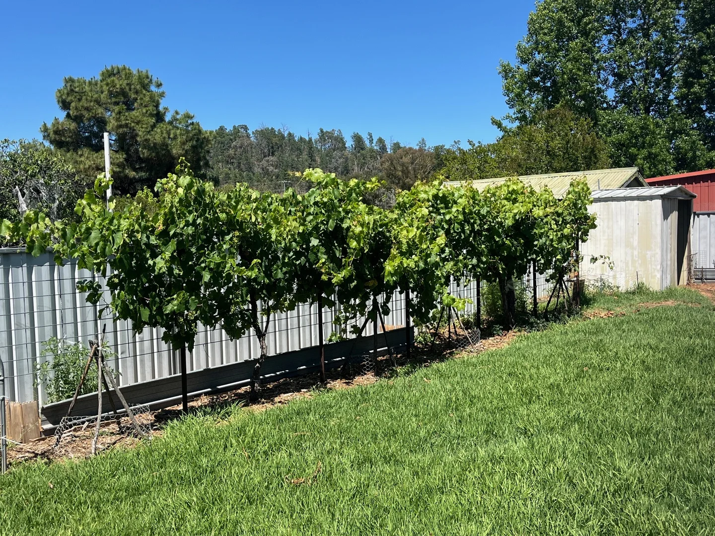 Additional image 14 of 20 Barker Street, Coonabarabran NSW 2357