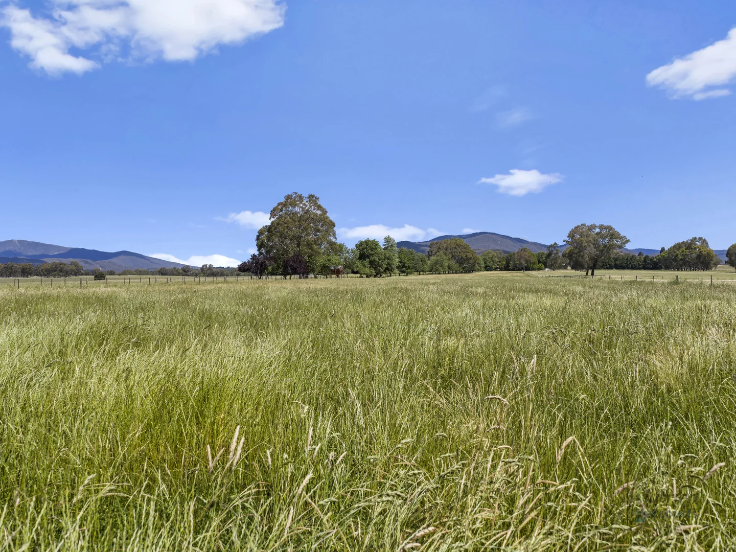 Additional image 18 of 63 Swanpool-Lima Road, Swanpool VIC 3673