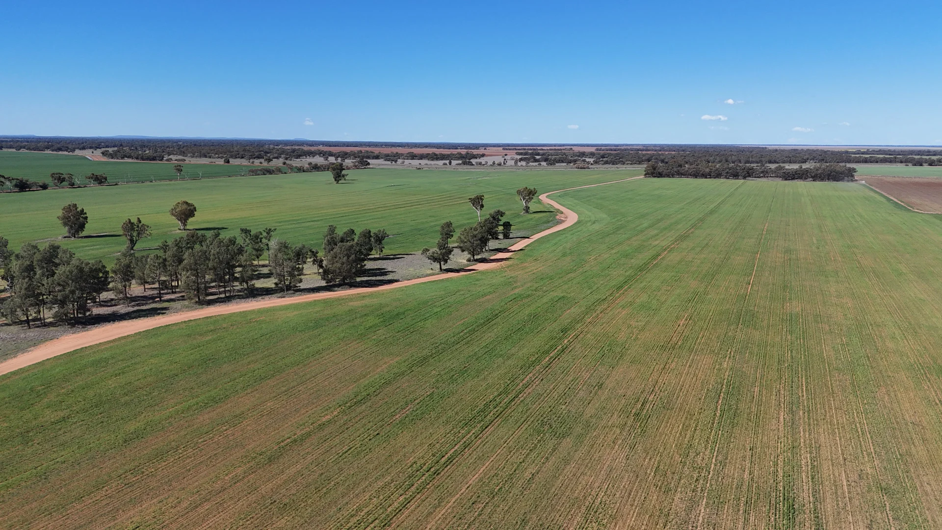 Additional image 8 of Farm 25/1354 Main Canal Road, Coleambally NSW 2707