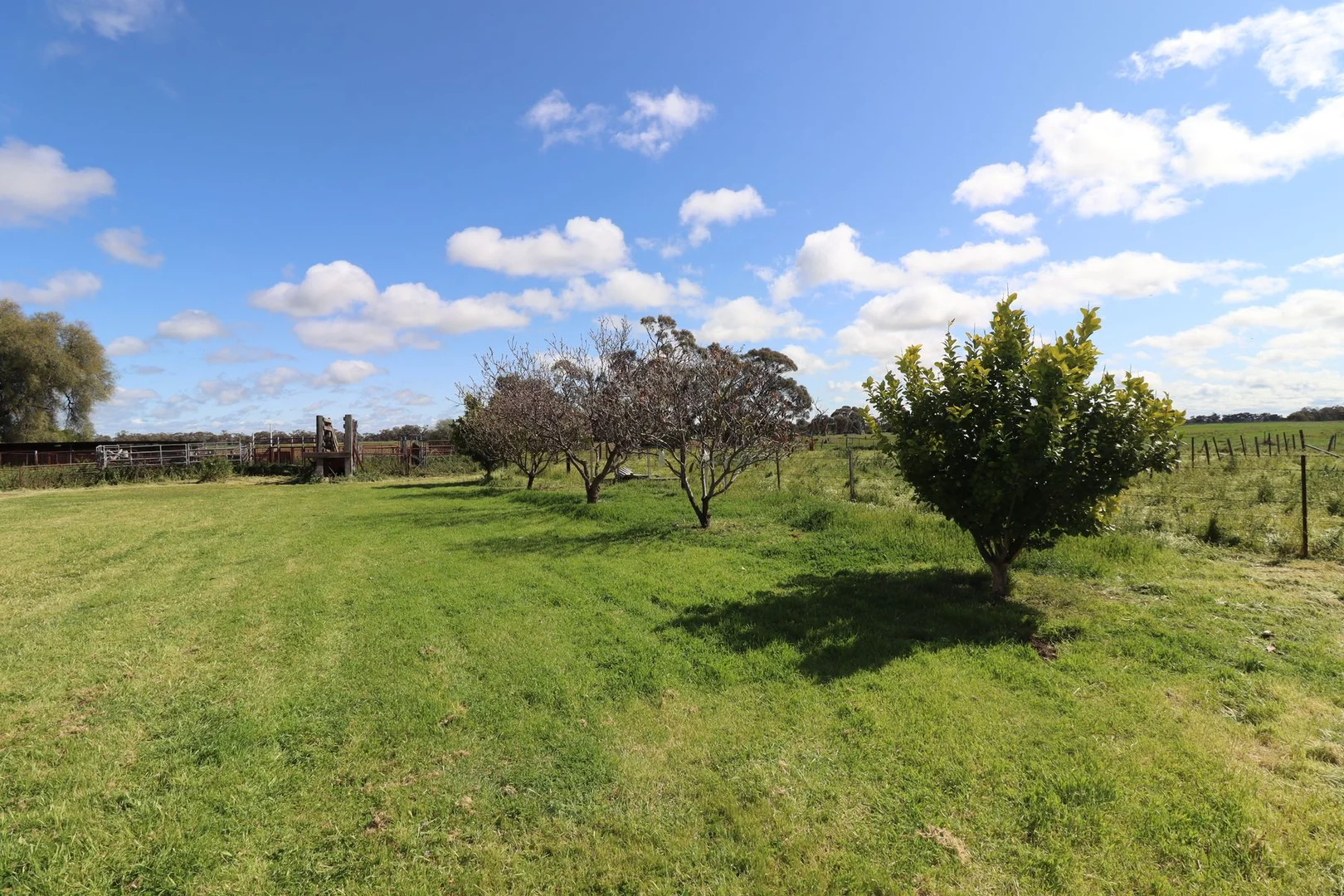 Additional image 20 of 557 Boort-Yando Road, Yando VIC 3537