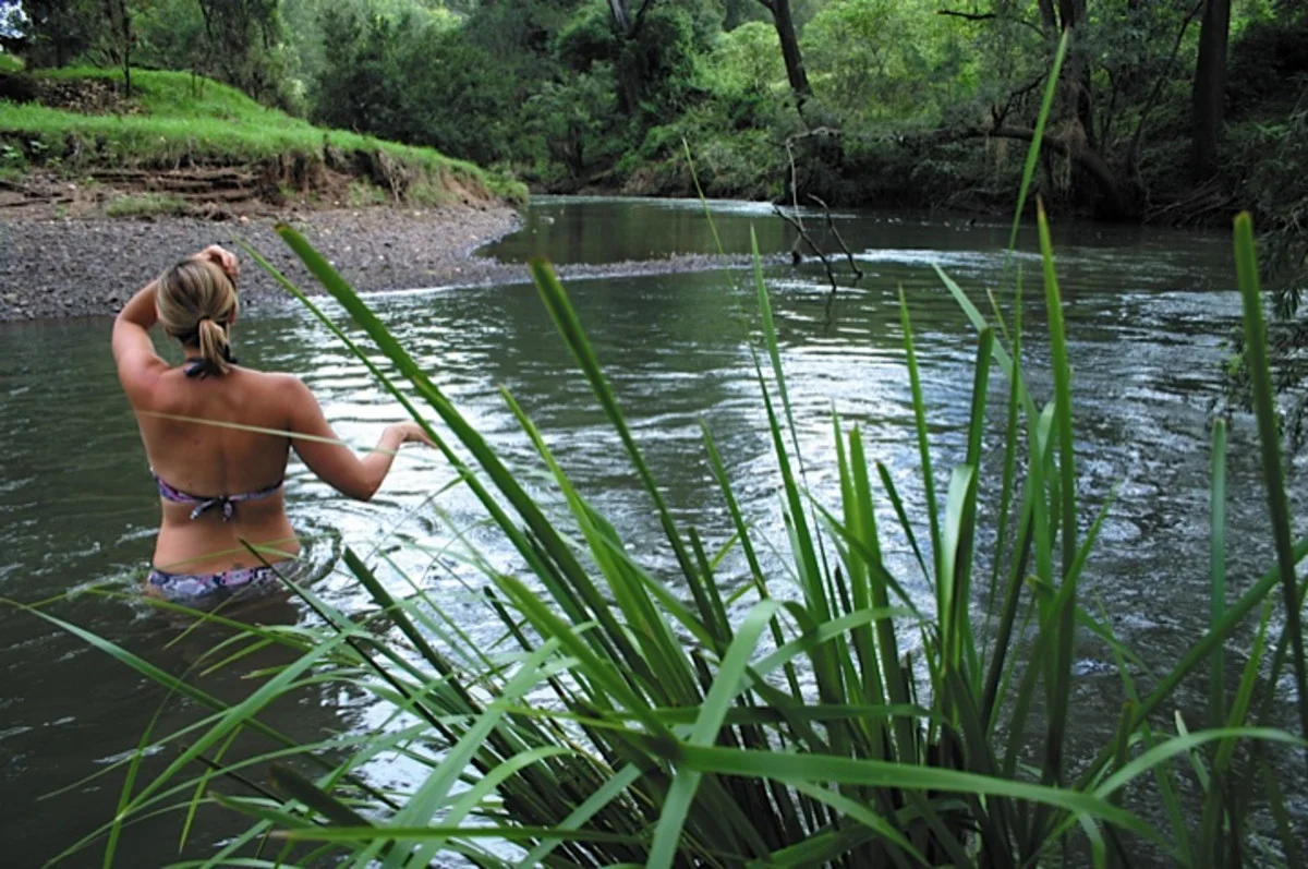 Additional image 10 of 602 Gradys Creek Road, Kyogle NSW 2474